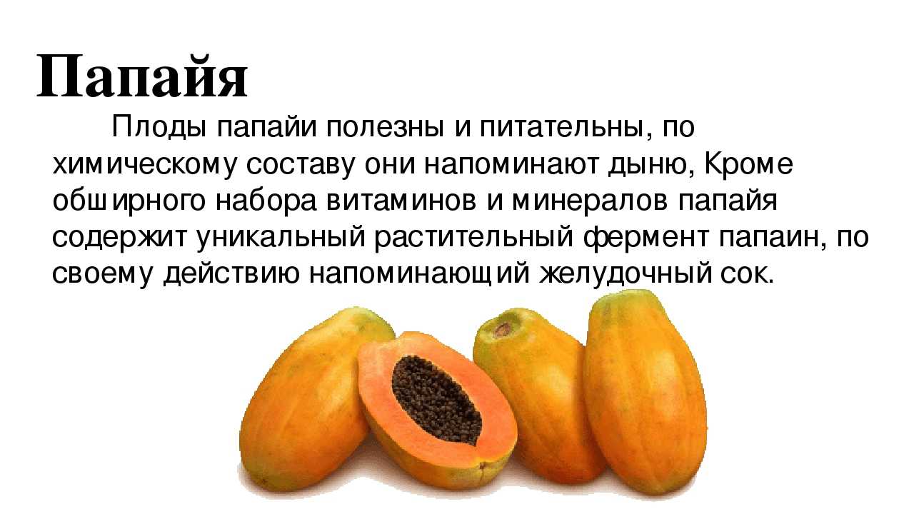 Манго фрукт полезные свойства и противопоказания. Папайя описание фрукта. Чем полезна папайя. Сообщение папайя фрукт. Папайя интересные факты.