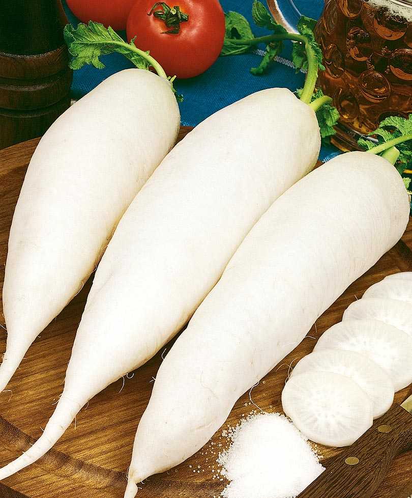 Сочный и вкусный пришелец из японии – дайкон миноваси. все о выращивании корнеплода