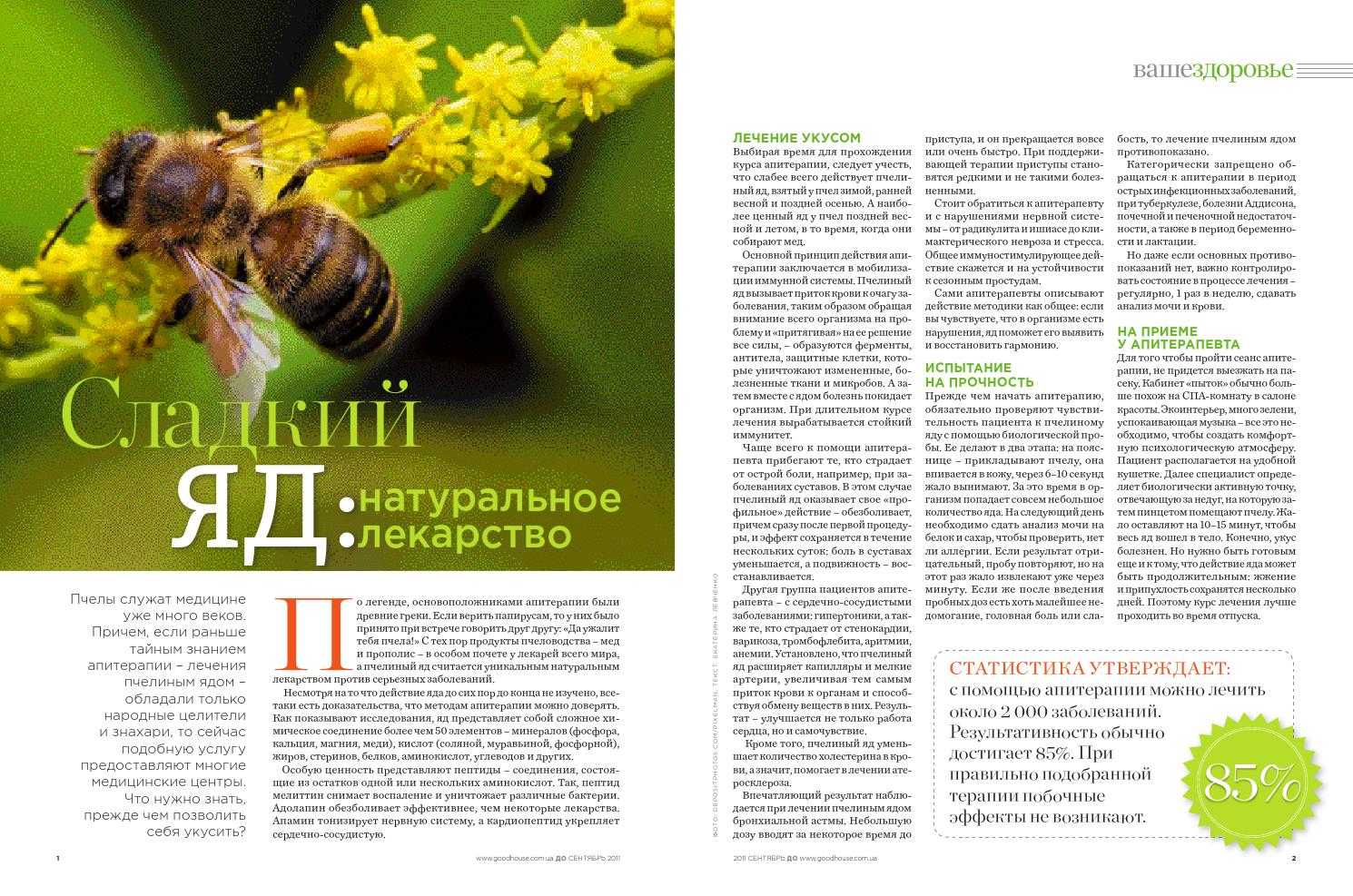 Что делать при укусе пчелы