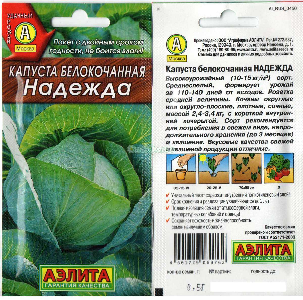 Капуста Надежда: описание сорта, фото, отзывы огородников Характеристика и особенности культуры, рекомендации по выращиванию и уходу