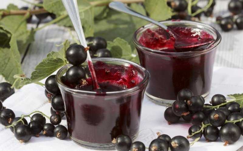 Джем — желе из черной смородины на зиму