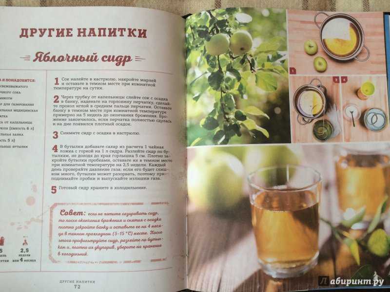Настойка лимонно-мятная