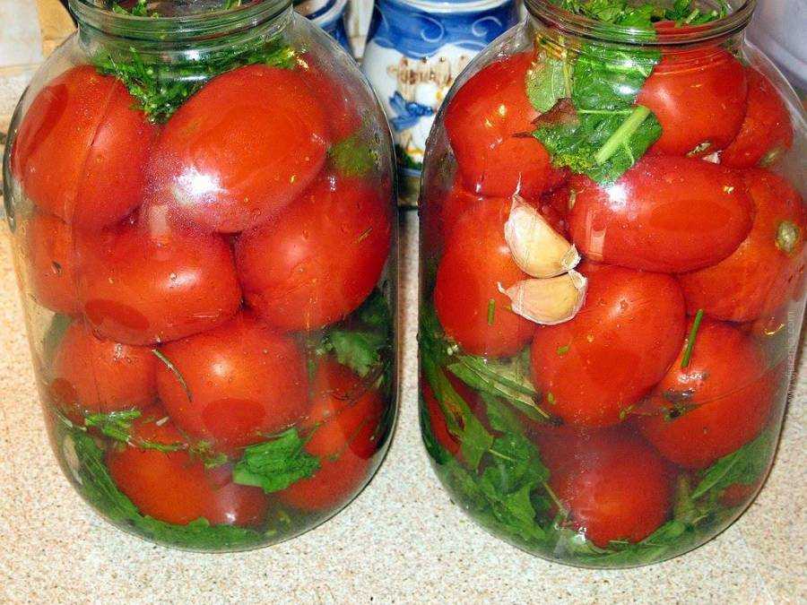 Как засолить помидоры на зиму холодным способом, проверенные рецепты