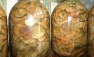 Как засолить рыжики на зиму в банках: рецепты вкусных грибов