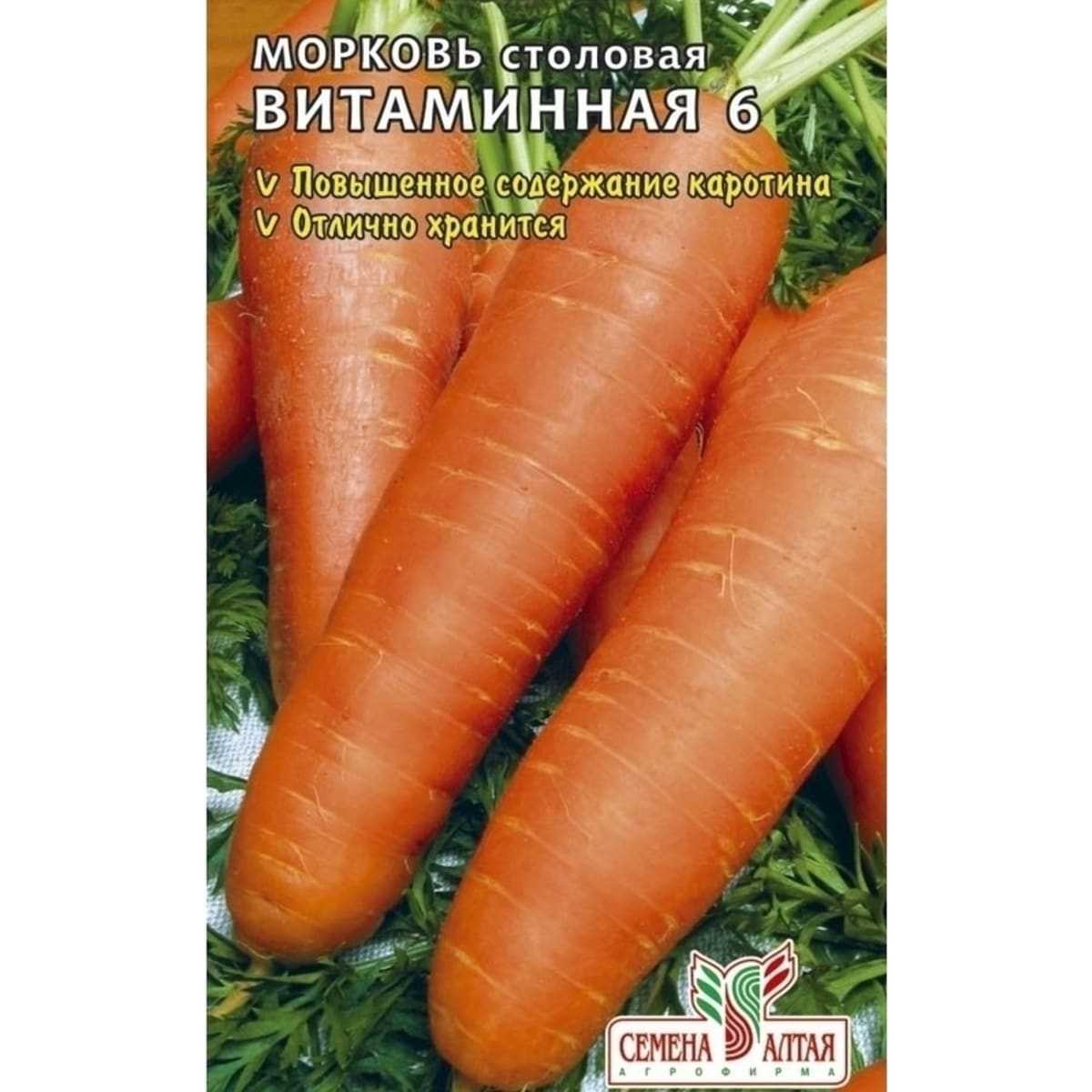 Морковь цилиндрическая сорта