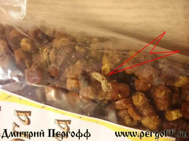 Как и где хранить пергу — главные правила