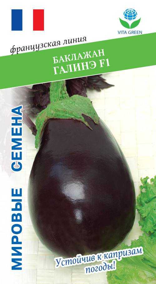 Баклажан фабина f1: описание сорта, особенности выращивания и ухода, фото, видео, отзывы