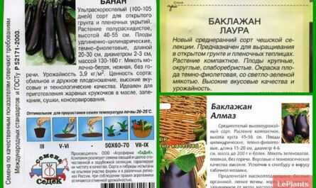 Описание и характеристики баклажана анет f1, выращивание и уход