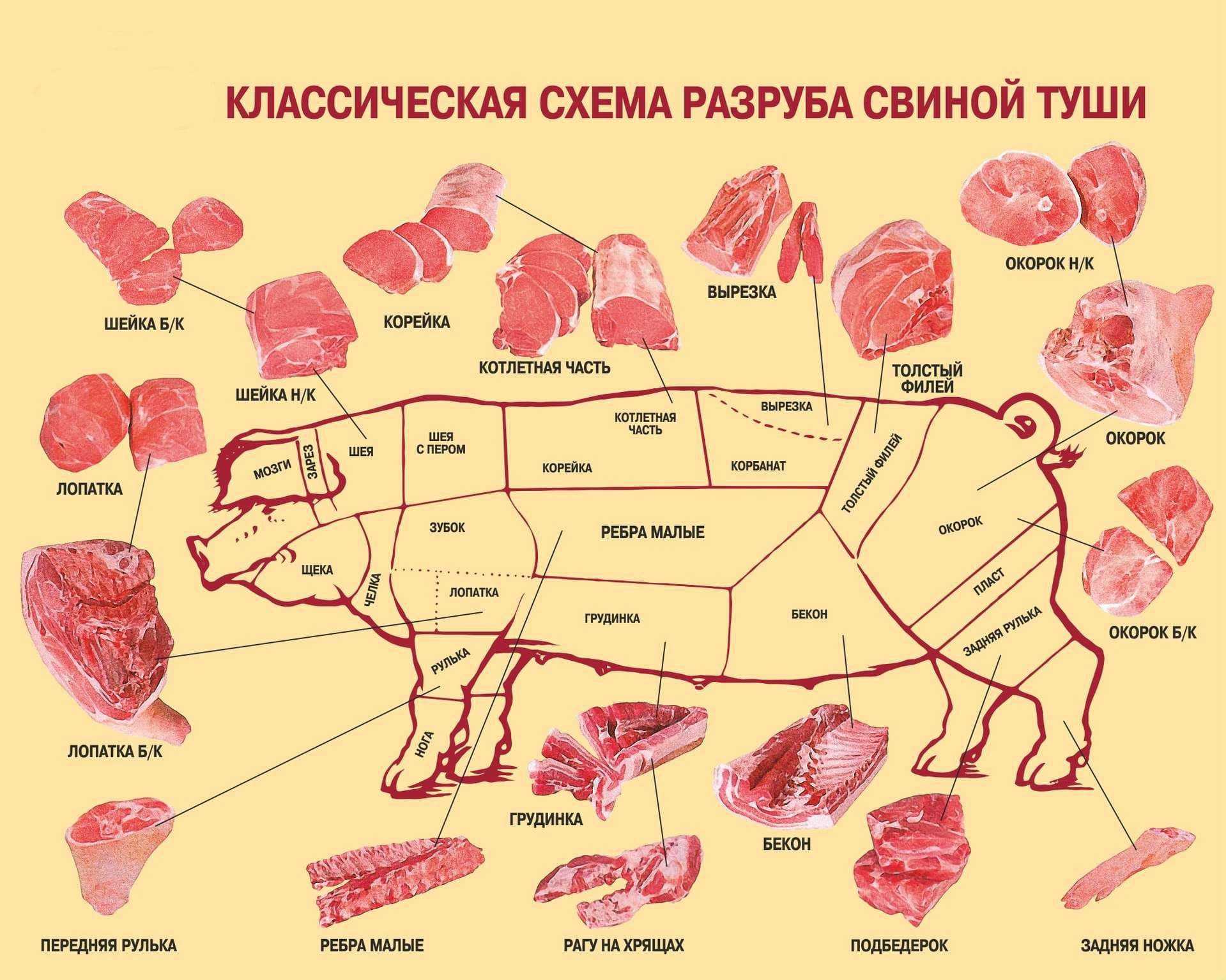 ᐉ как правильно разделать свинью: схема, основные части - zooon.ru