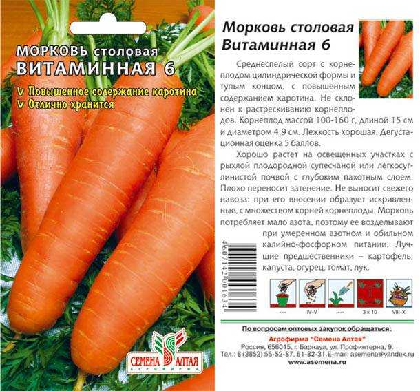 Морковь: описание 28 лучших сортов | (фото) +отзывы