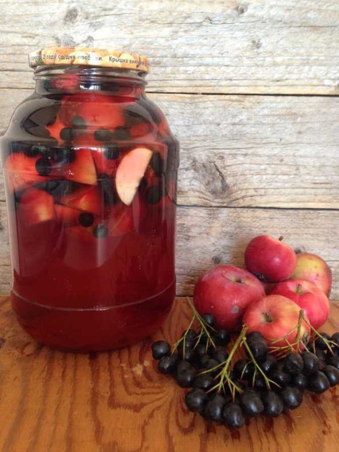 Рецепт компота из черноплодной рябины, яблок и слив - 5 пошаговых фото в рецепте