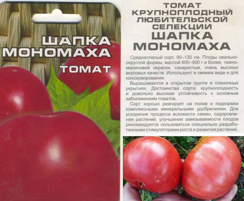 Томат воловье сердце — описание сорта с фото