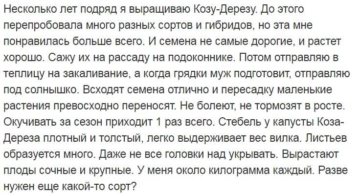 Капуста цветная «коза-дереза» отзывы, фото, описание, выращивание, посадка и уход, урожайность