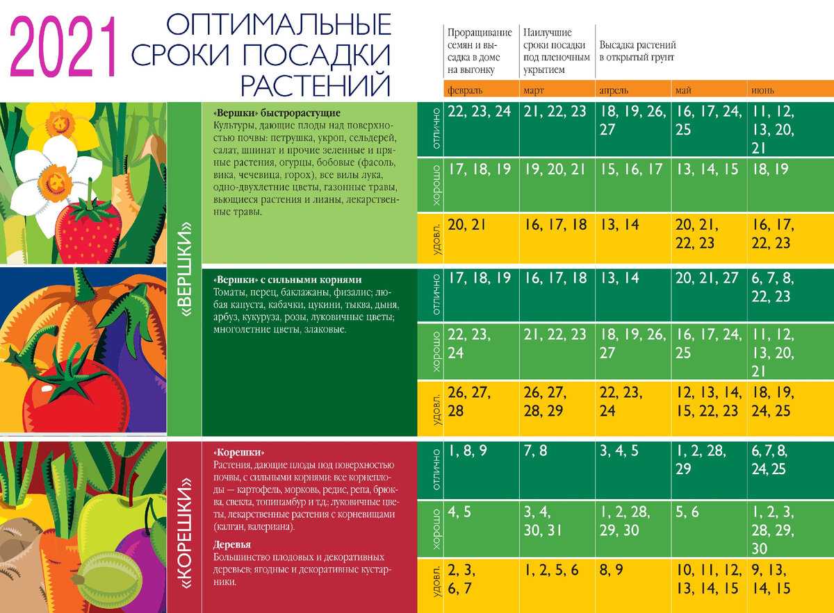 Когда сажать картофель в сибири в 2022 году | огородникам инфо