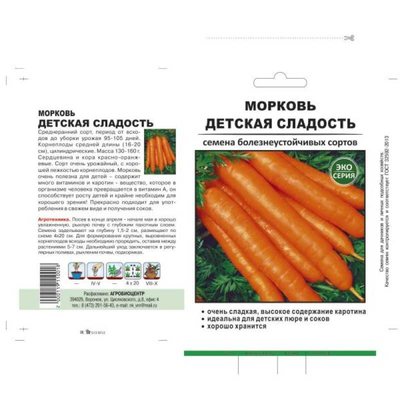 Топ лучших сортов моркови с фото и описанием