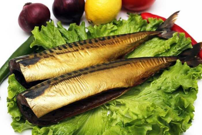 Копченая скумбрия: польза и вред для организма человека