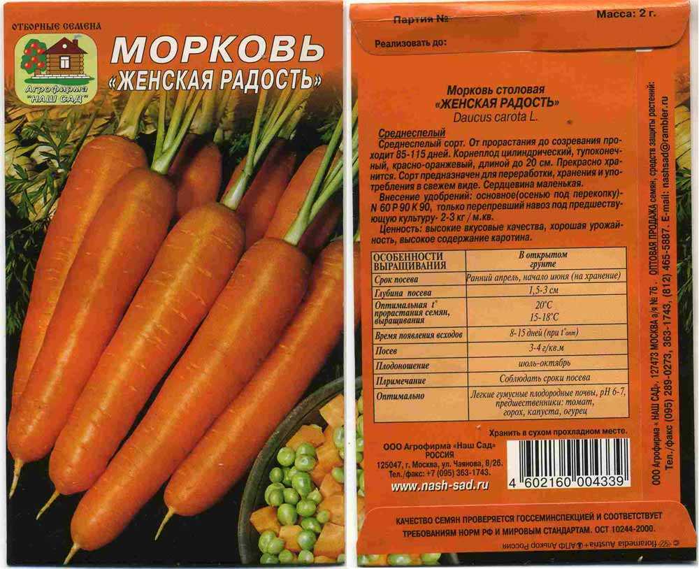 Перечень сортов моркови, предназначенных для длительного хранения