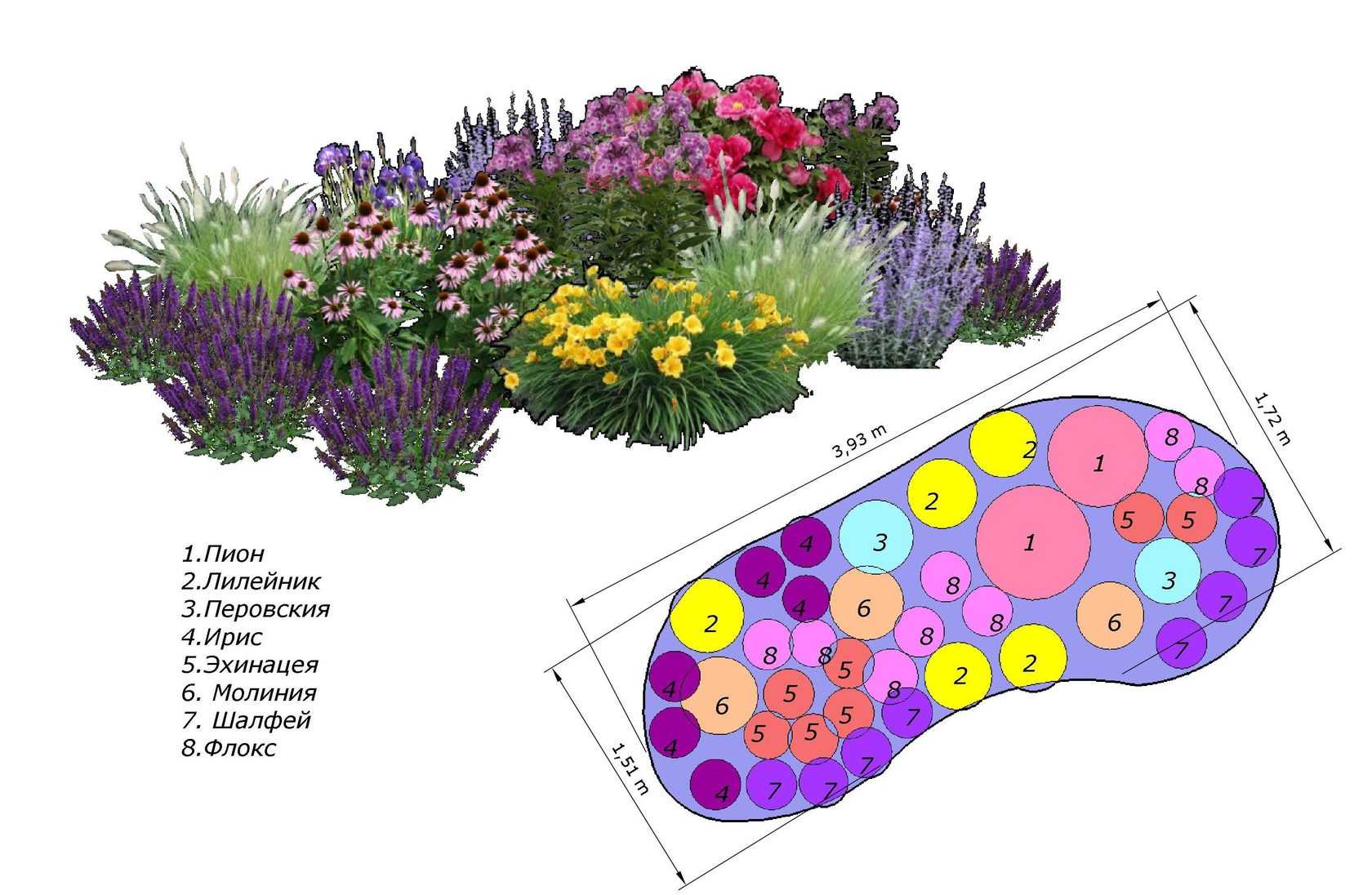 С какими цветами посадить лилии - фото 5 лучших идей