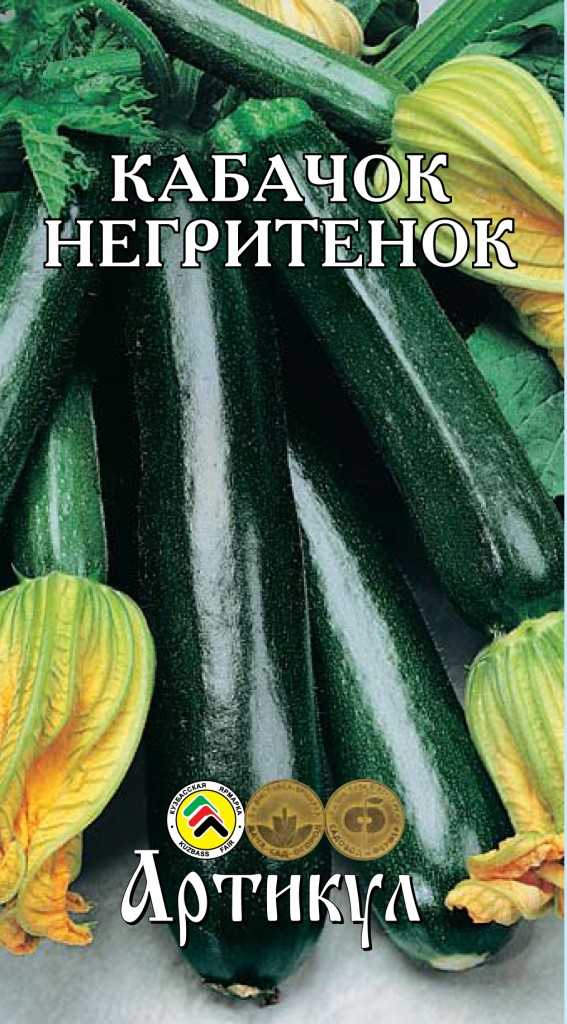 Описание сортов кабачка цуккини, их выращивание, посадка и уход