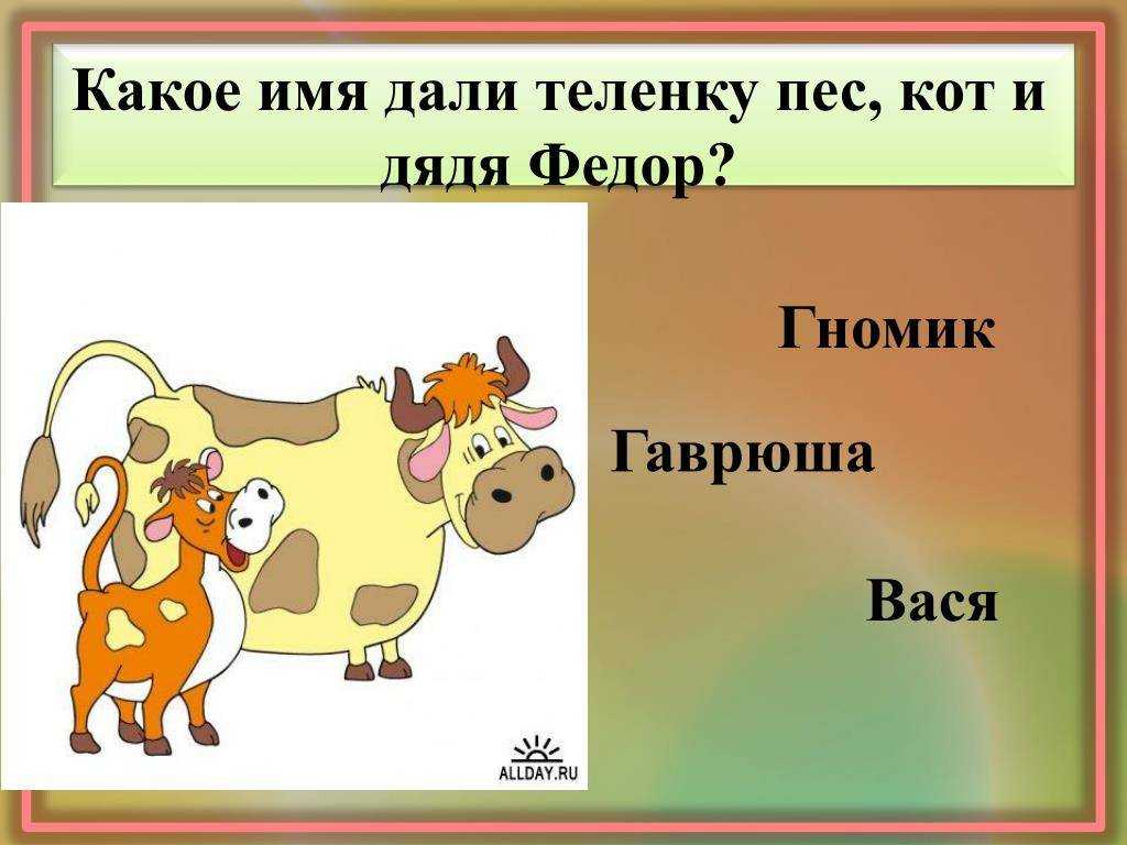 Как назвать бычка – имена быков
