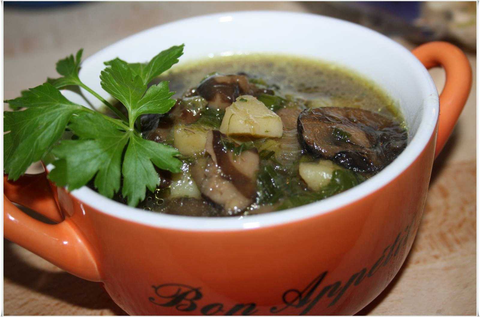 Грибные супы из рыжиков: фото и рецепты, как приготовить вкусные первые блюда