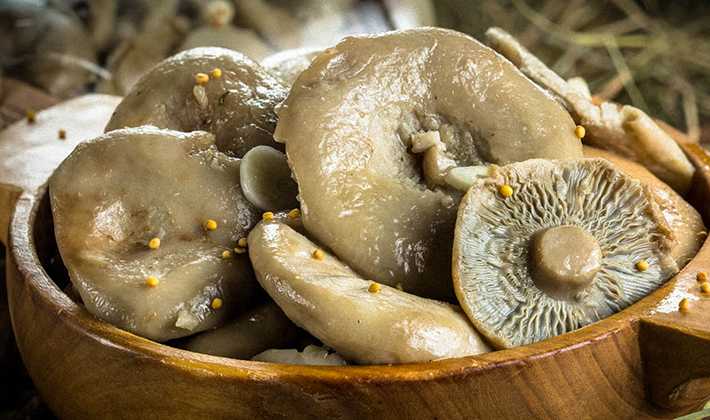 Как и сколько варить грибы