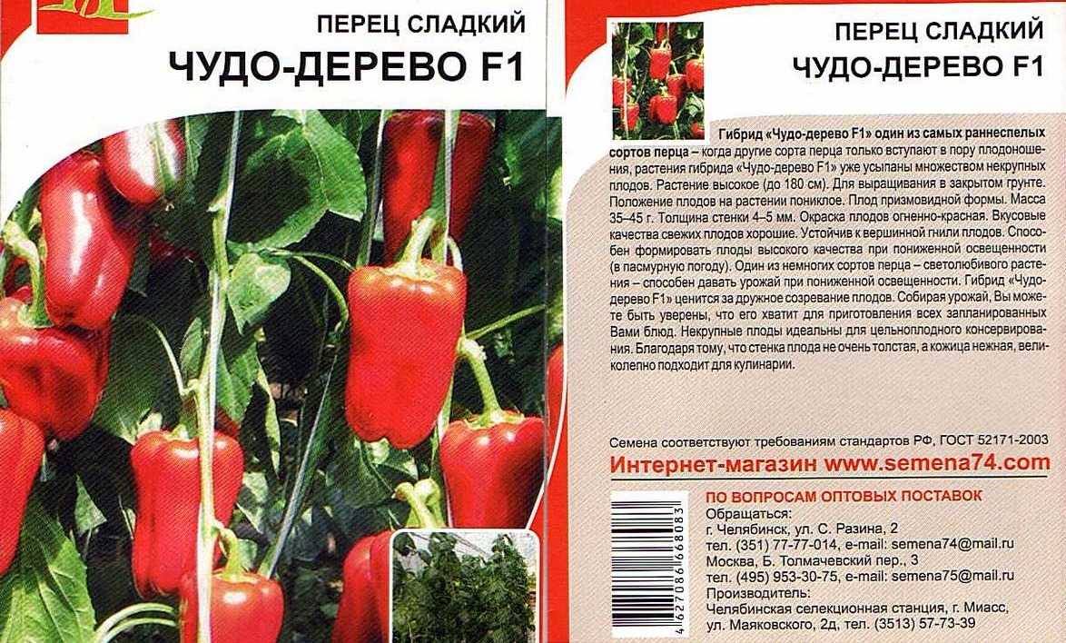 Перец болгарский выращивание и уход в открытом грунте и теплице, фото