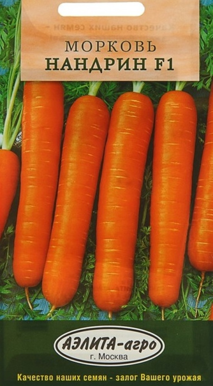 Лучшие сорта крупной моркови с фото и описанием На что обратить внимание при выборе сорта, как помочь корнеплоду в росте, обзор сортов крупноплодной моркови