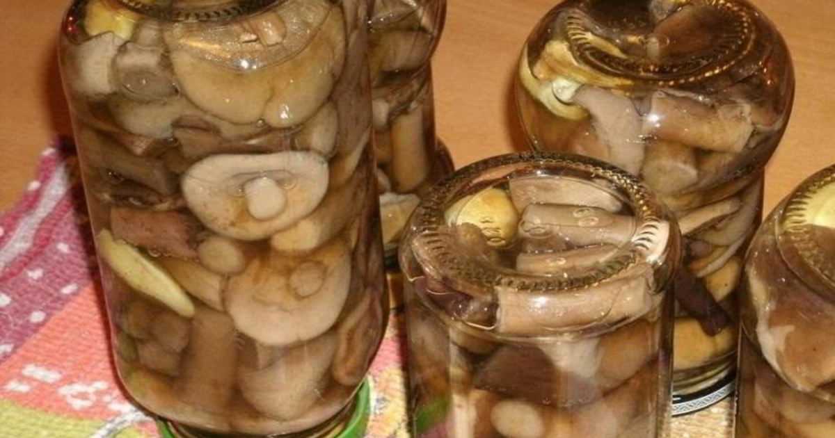 Как приготовить подосиновики и подберёзовики: как пожарить, как варить, рецепты