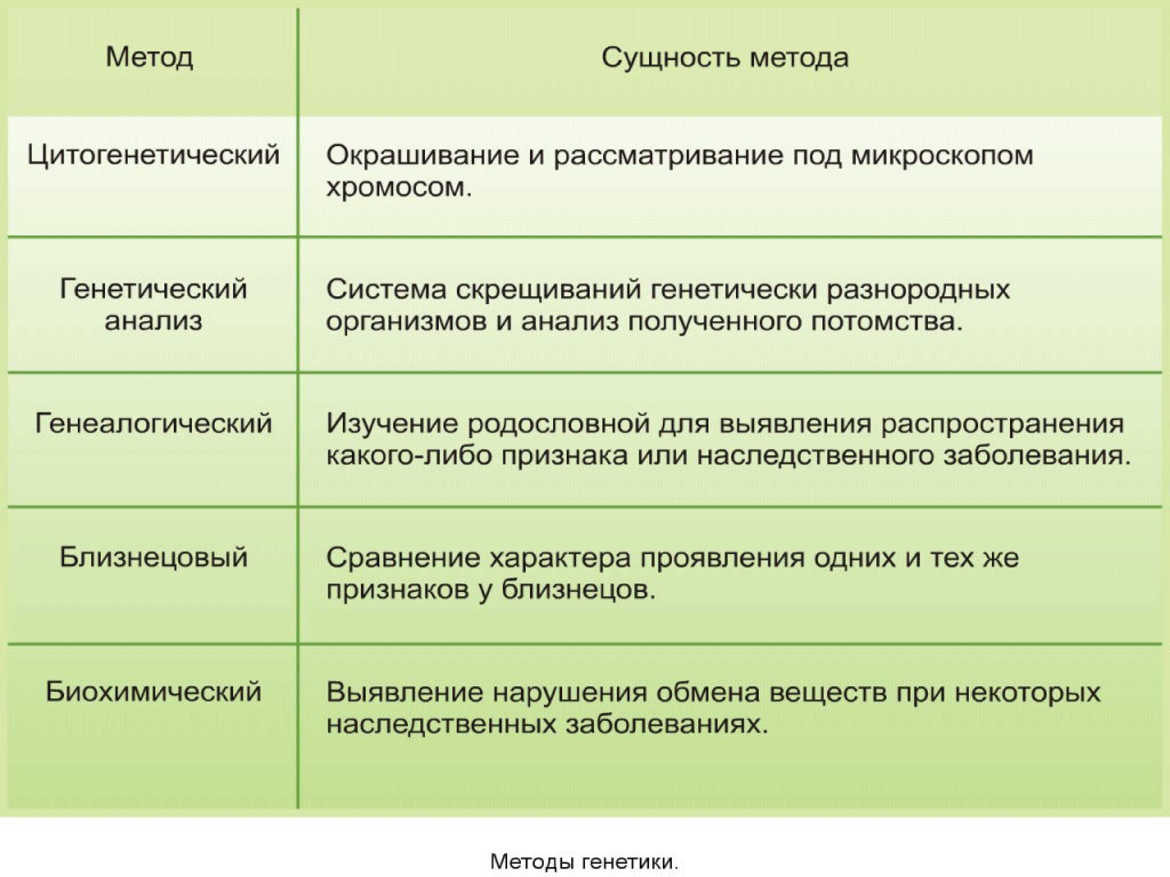 Препарат пчелка: свойства и другие секреты