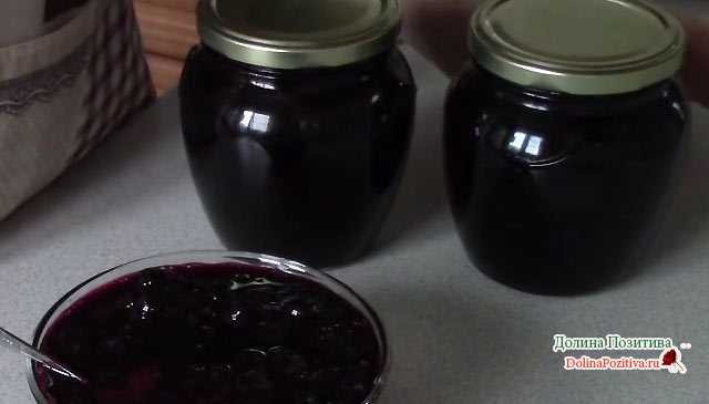Заготовка черноплодной рябины: рецепты приготовления на зиму
