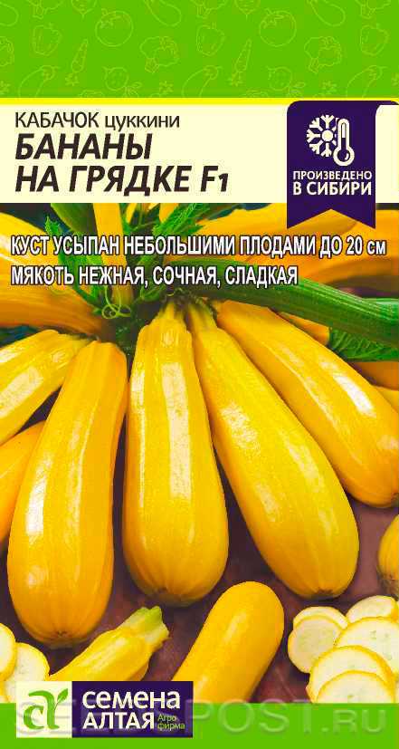 35 лучших урожайных сортов кабачков для посадки в открытый грунт - онлайн урожай