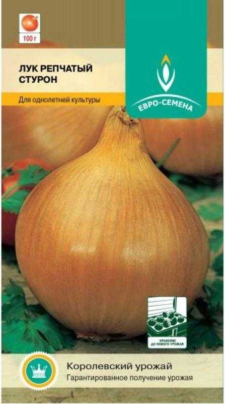 Лук стурон: описание сорта, отзывы, фото, урожайность, достоинства и недостатки и особенности выращивания
