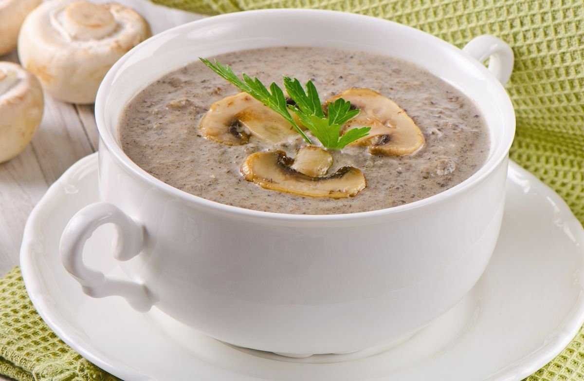 Грибной суп из замороженных грибов — рецепты самых вкусных супов