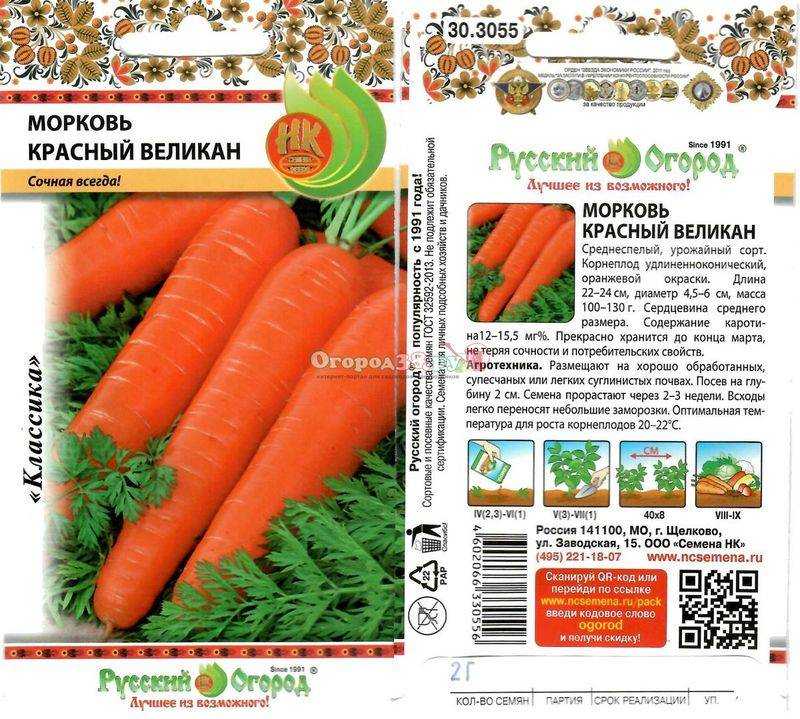 Сорта моркови для открытого грунта с фото и описанием