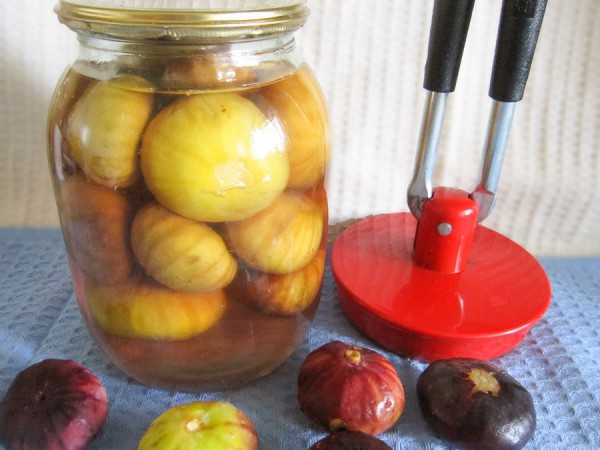 Компот из свежего инжира на зиму: польза, рецепты с яблоками, виноградом
