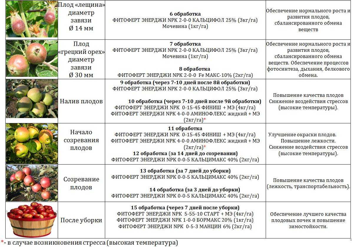 Яблоня имант: отзывы, фото, описание зимнего сорта белорусской селекции, урожайность, выращивание, посадка, уход, вкусовые качества