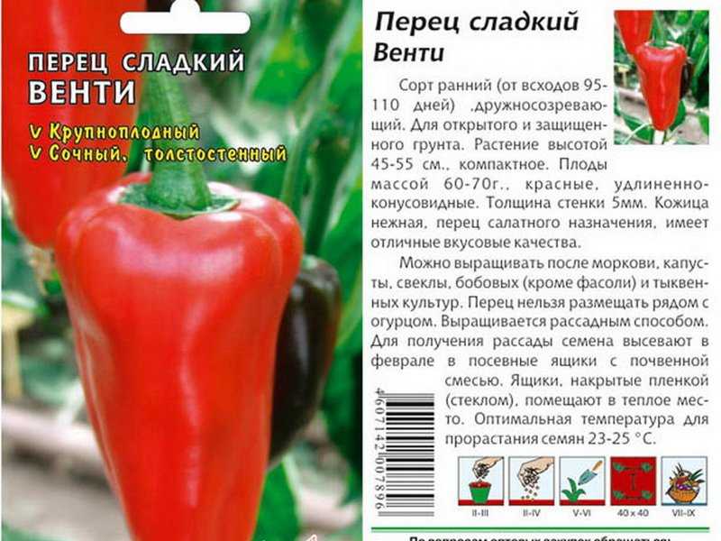 Характеристика и описание перца “бонета”