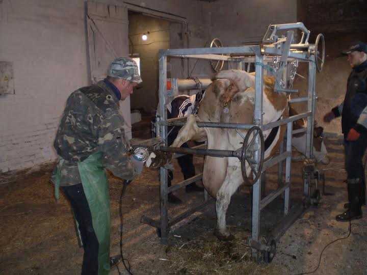 Все о нейродермите: причины, виды и профилактика заболевания