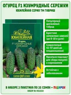 Огурцы Изумрудная Сережка Отзывы Фото