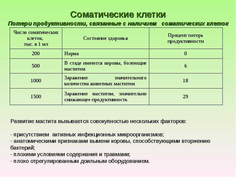 Аллергия на белок коровьего молока у ребенка: как проявляется, симптомы аллергии на молоко | nutrilak
