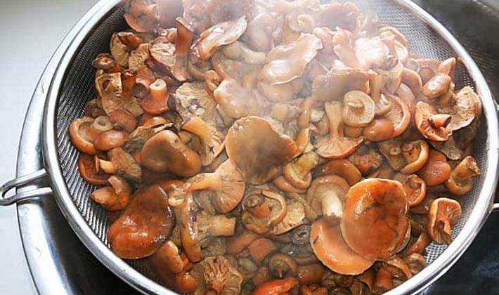 Приготовление грибного супа по лучшим рецептам