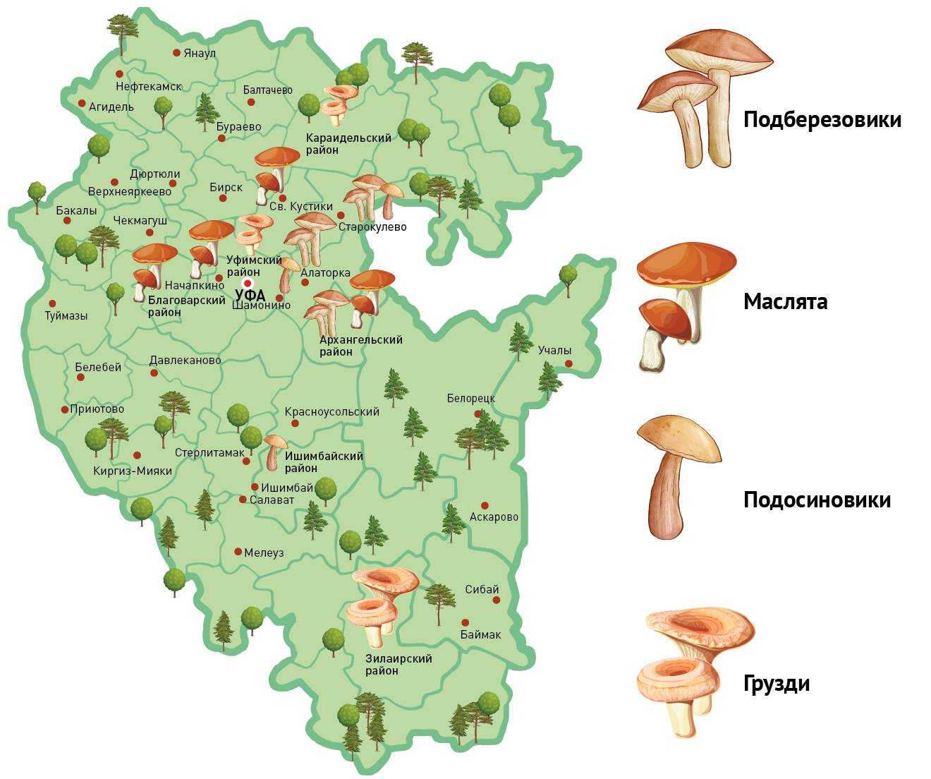 Грибная карта краснодарского края