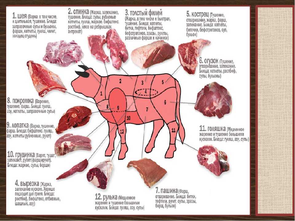 Какая часть говядины для фарша. Кострец мясо говядина схема. Говядина схема разделки туши часть фарш. Схема разруба говядины. Части туши свиньи.