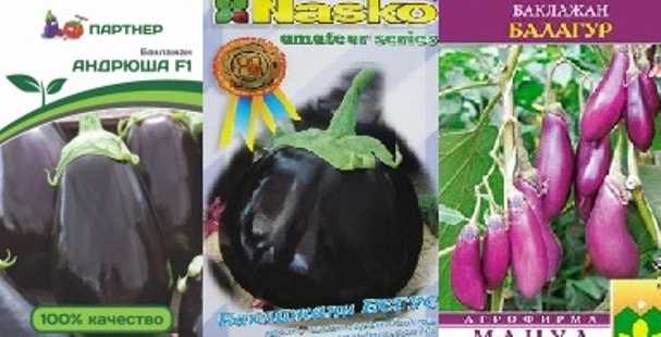 Описание сорта баклажана галич, его характеристика и урожайность