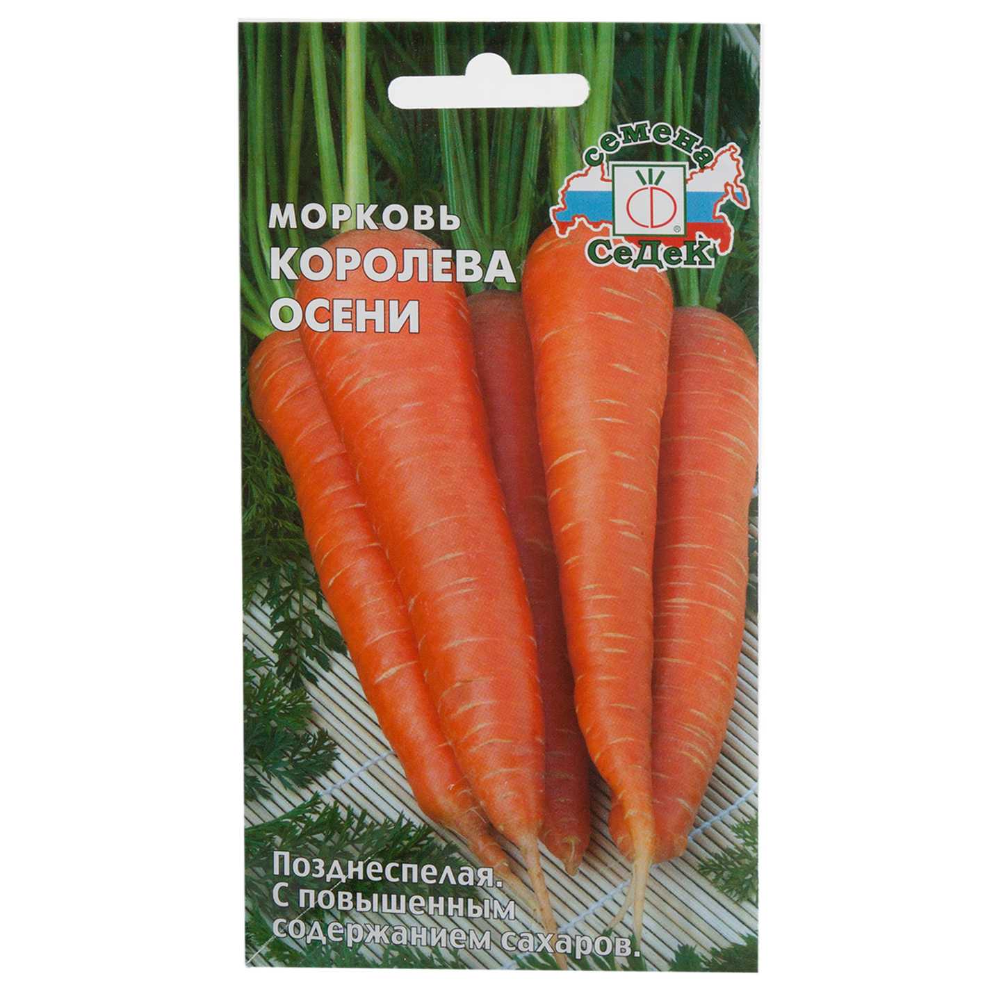 Самые лучшие сорта моркови