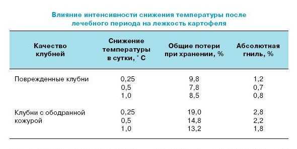 Оптимальная температура хранения картофеля :: syl.ru