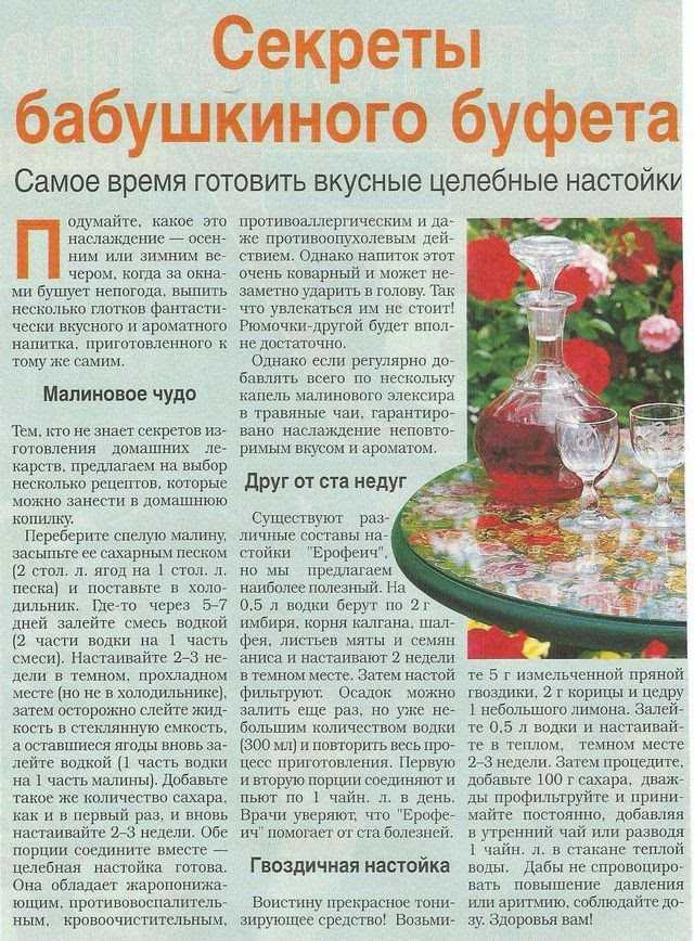 Настойка шиповника - 120 фото и видео приготовления лучших рецептов на водке и спирте
