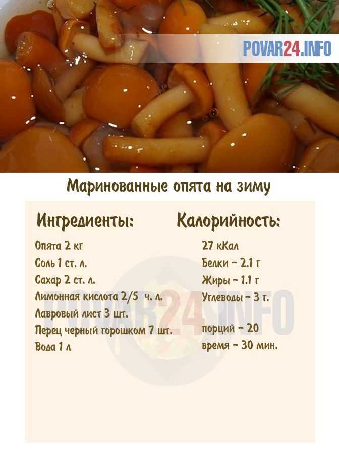 Грибы на зиму: 58 рецептов заготовок » сусеки