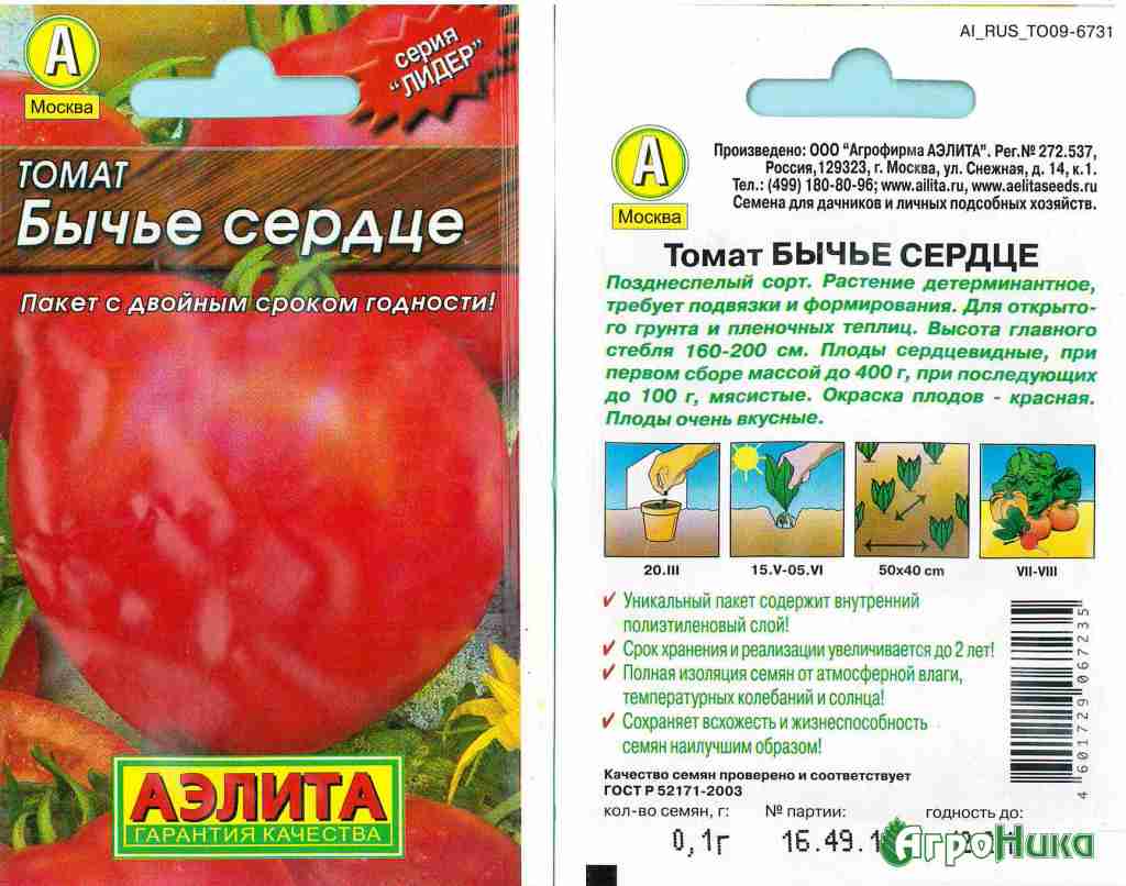 Описание среднеспелого томата воловьи уши и правила выращивания